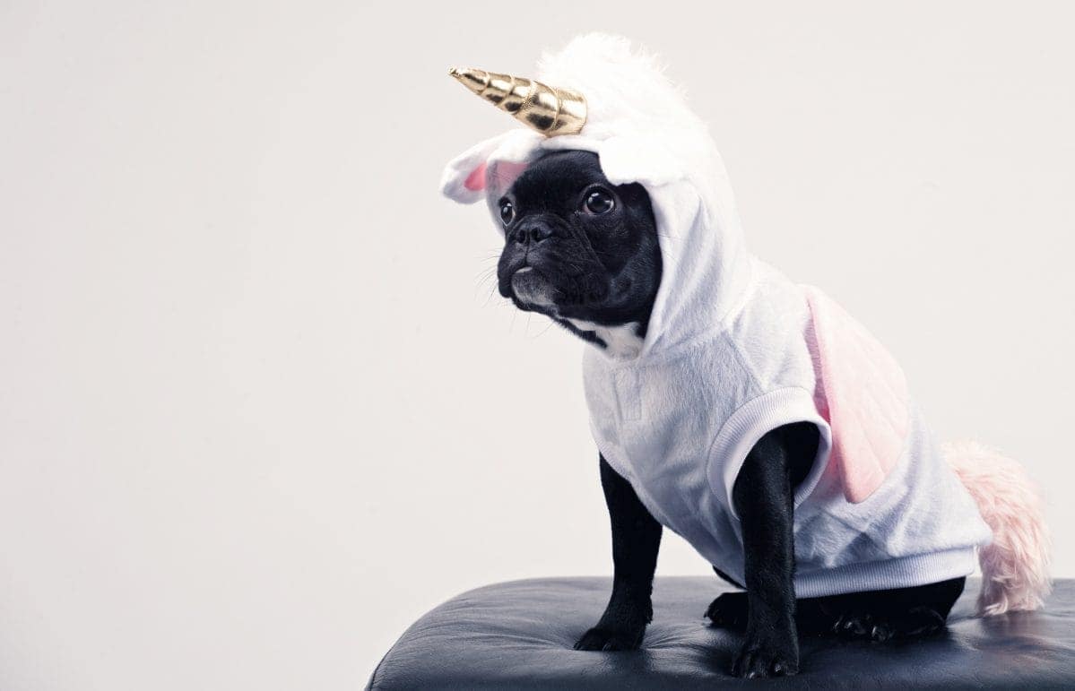 The Complete List Of Latin American Unicorns [2022]