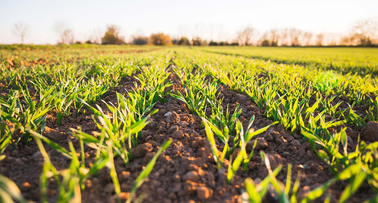Tarpon Adquiere A Agrivalle Para Una Agricultura Más Sostenible