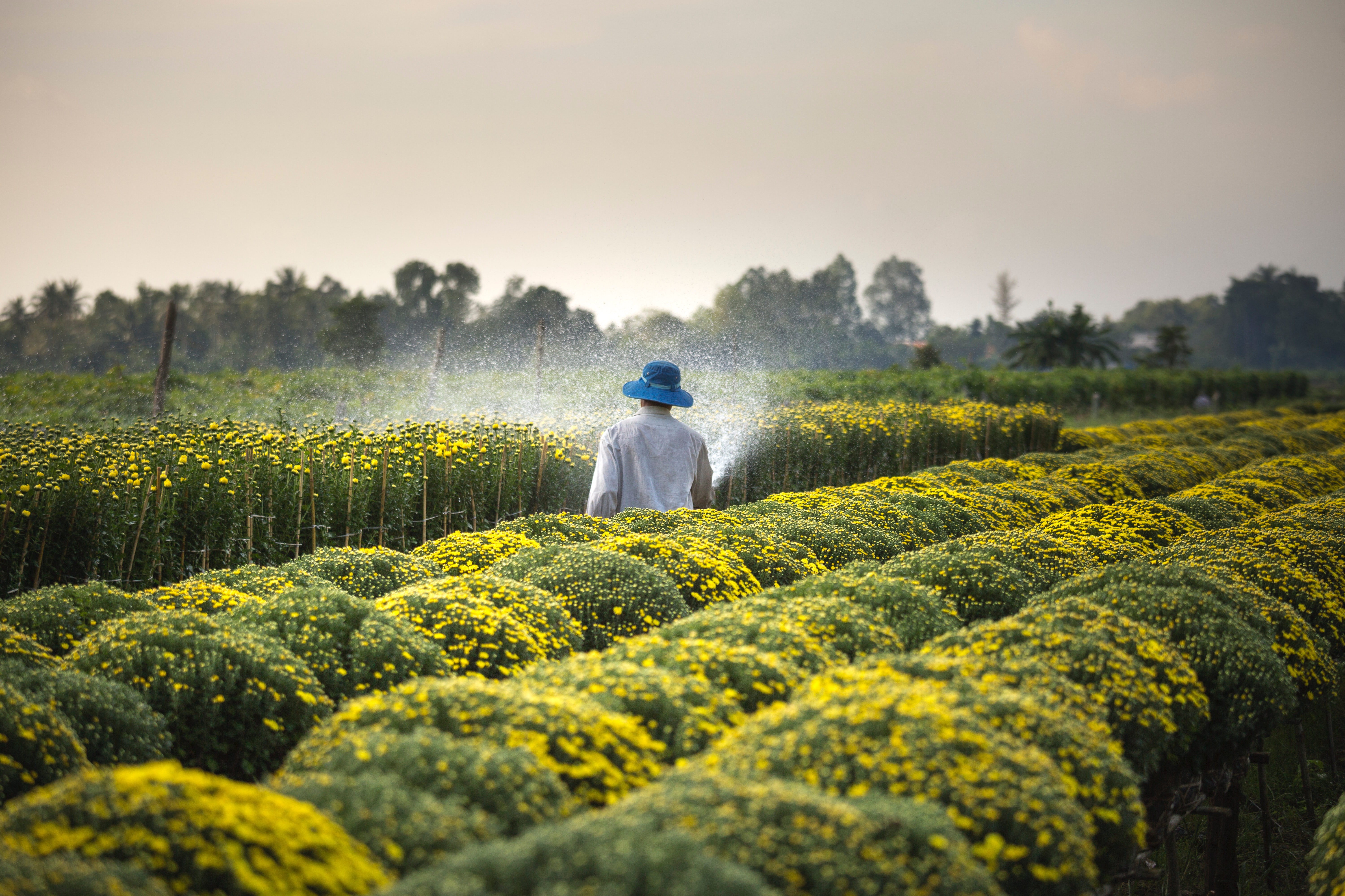 Agroforte, Which Offers Credit To Small Rural Producers, Raises Us$1.13 Million