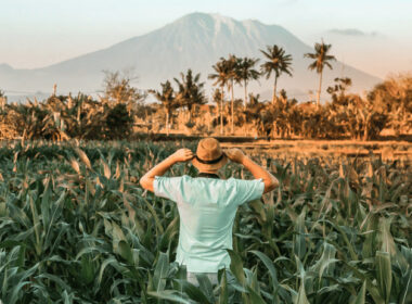 12 Startups Brasileñas Revolucionando La Industria Agrotecnológica