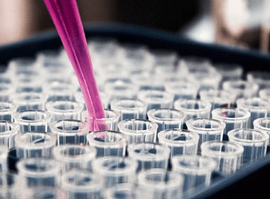 La Empresa Brasileña De Biotecnología, Pluricell, Recauda Us$1 Millón Para Combatir Las Enfermedades Cardiovasculares