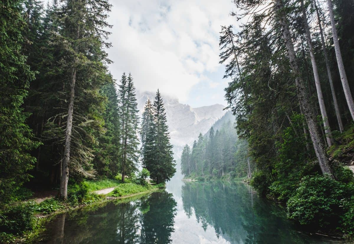 9 Chilean Startups Developing Eco-friendly Products