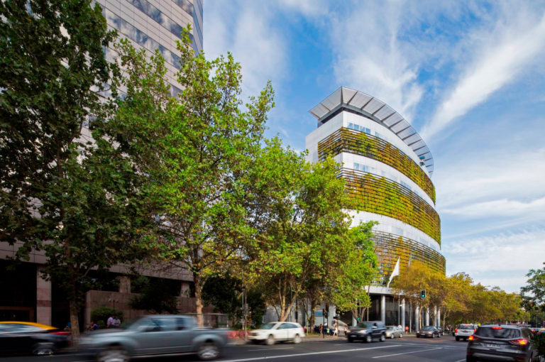 Grupo Consorcio From Chile Reveals New Cvc Fund For Startups