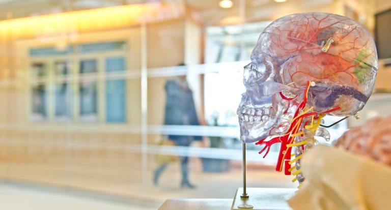 El Gigante Farmacéutico Brasileño, Eurofarma, Estrena El Fondo De Capital Riesgo, Axon Ventures