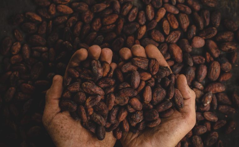 Banco Interamericano De Desarrollo Utilizará Us$600,000 Para Ayudar A Agricultores Mexicanos A Través De Blockchain