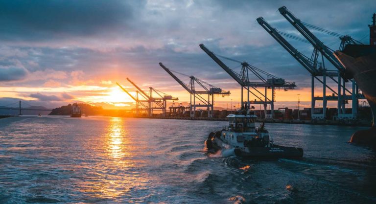 Covid Ciega A Las Compañías Que Dependen De Las Importaciones, Así Que Nowports Abre Rastreo Gratis Para Todos