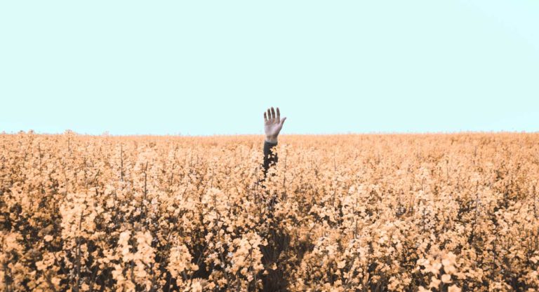 Selina Quiere Conseguir Financiamiento Para Un Mercado Nada Alentador