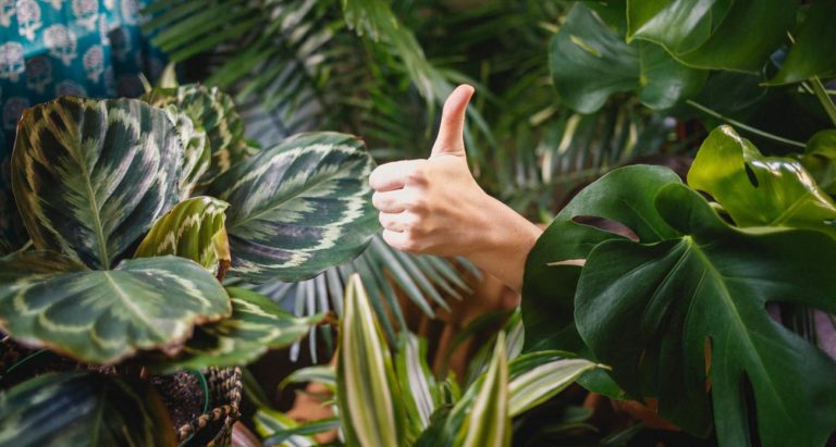 With Central Bank’s Blessing, Cora Will Launch Credit And Debit Products For Smes