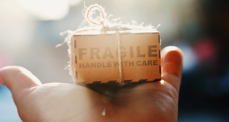 Canary, Norte Ventures Y ángeles Invierten Us$1 Millón En Rapicare