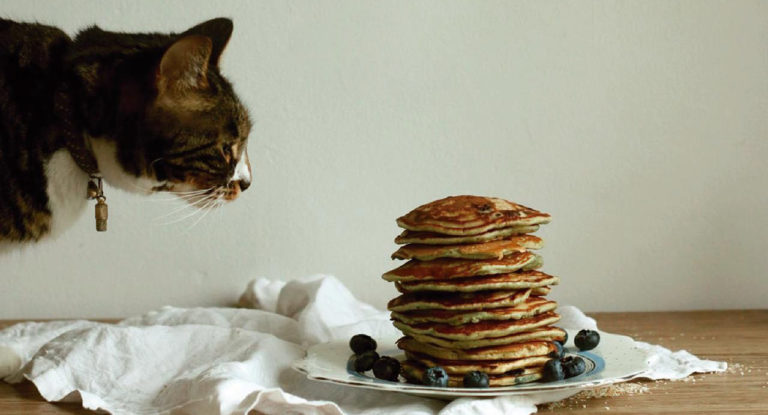 El éxito De Live Green Co Es Porque Vende Cambio Cultural Además De Productos De Origen Vegetal