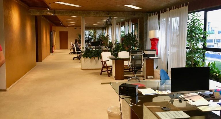 Argentine Wimet Rewrites Office Space Rules Post-covid