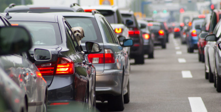 Insurtech Company Crabi Receives Seed Investment Led By Kaszek