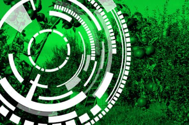 Agrifoodtech_Latam