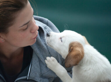 Vetlia-Mexico-Funding