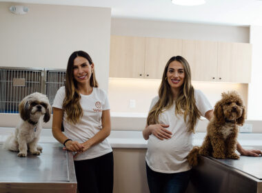 Vetalia-contxto-Pet Care