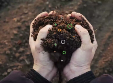 Solena AG The Yield Lab Latam