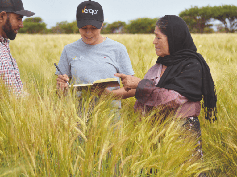 Verqor raised USD$7.5 million, of which USD$4 million was a pre-Series A round led by Yara Growth Ventures.