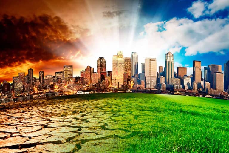 Tec de Monterrey startups