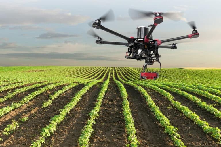 Visa Agrotoken Brazil