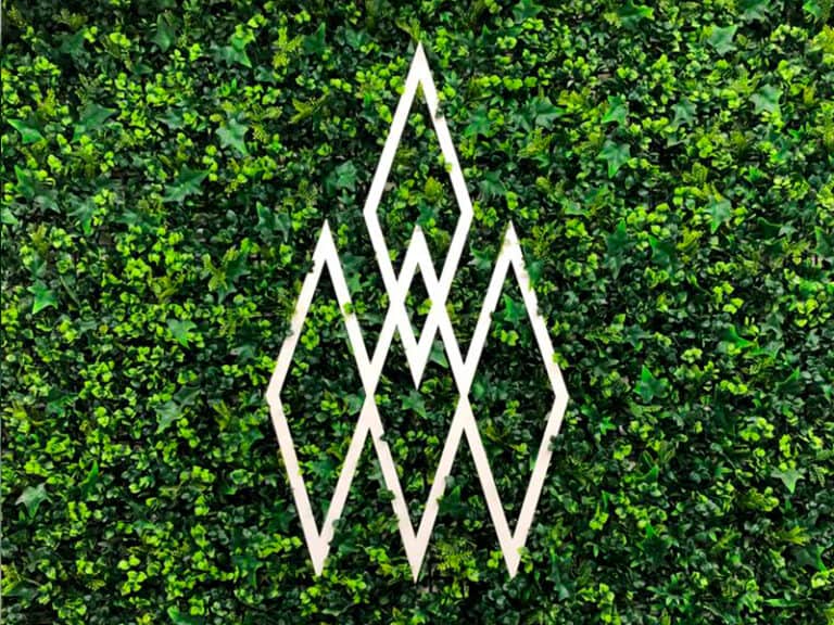 Votum World, startup based in Murcia, is making a mark in the cannabidiol (CBD) market through the implementation of innovative processes.