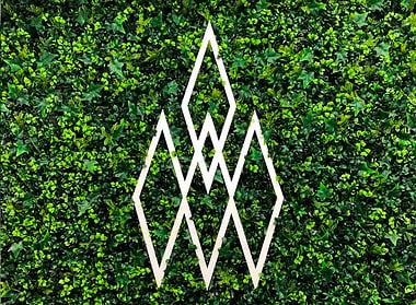 Votum World destaca en el mercado del cannabidiol (CBD) mediante la implementación de procesos innovadores y de investigación.