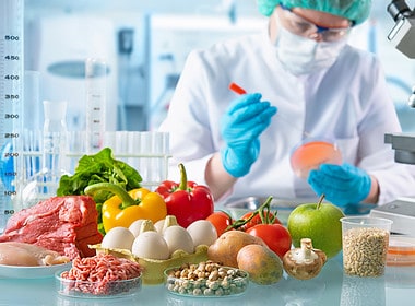 Brasil Laboratorio Alimentos